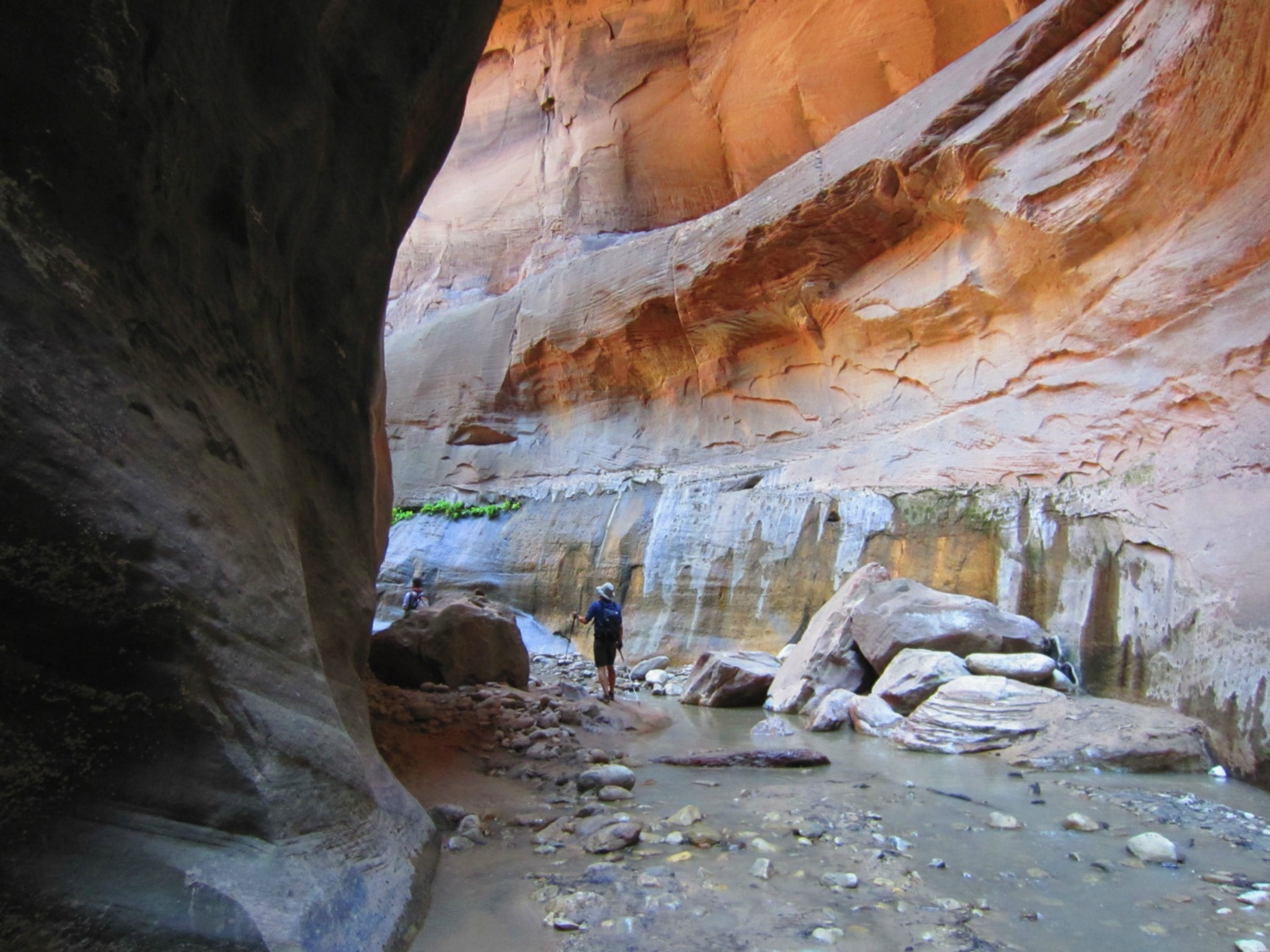 USA_Zion_A_176